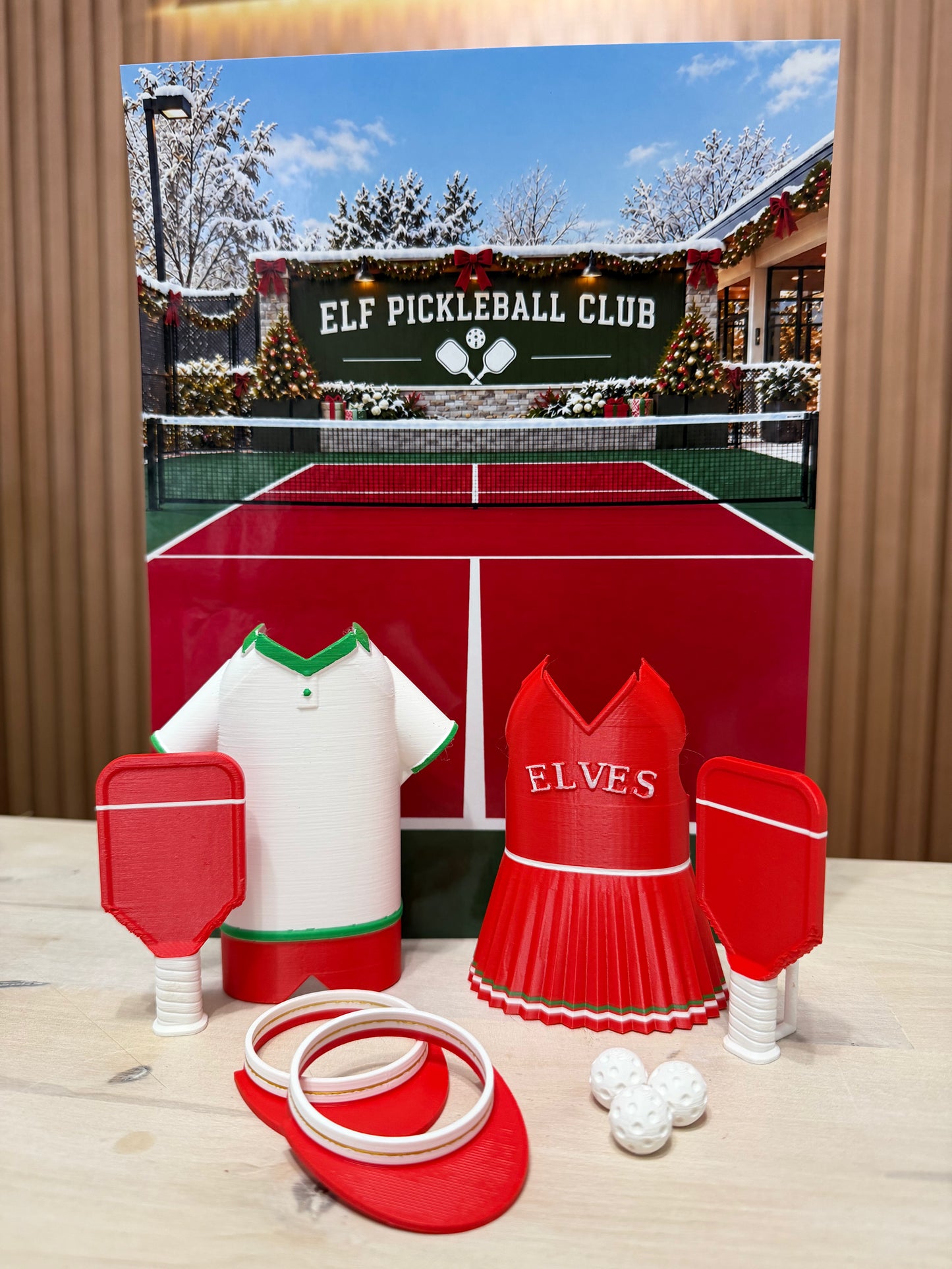 PICKLEBALL ELF  SETUP
